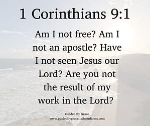 1 Corinthians 91