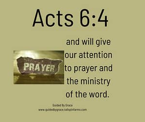 Acts 64