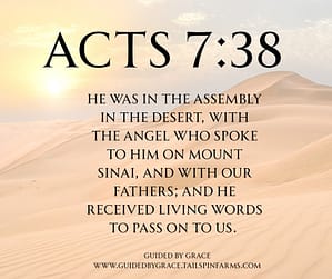 Acts 738