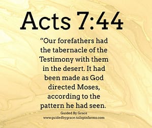 Acts 744