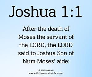 Joshua 11