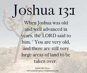 Joshua 131 (1)