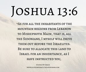 Joshua 136