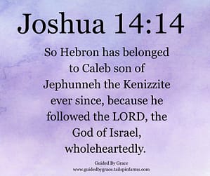 Joshua 1414