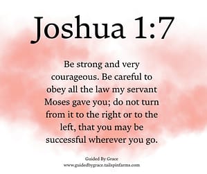 Joshua 17