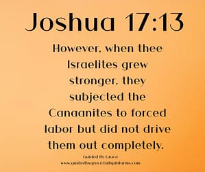 Joshua 173