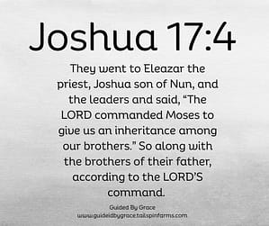 Joshua 174