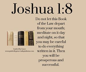 Joshua 18