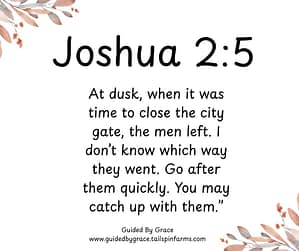 Joshua 25
