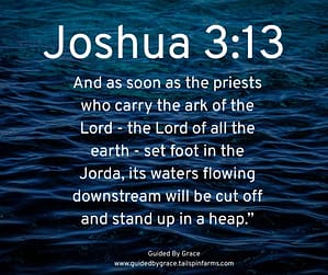 Joshua 313