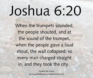 Joshua 620