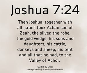 Joshua 724