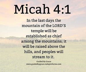 Micah 41