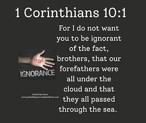 1 Corinthians 101
