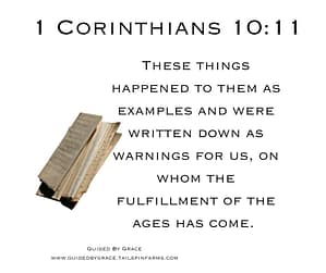 1 Corinthians 1011