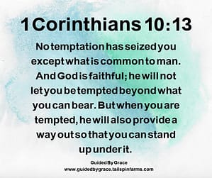 1 Corinthians 1013