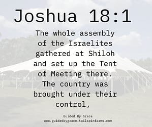 Joshua 181