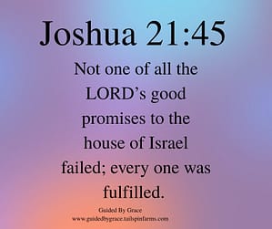 Joshua 2145