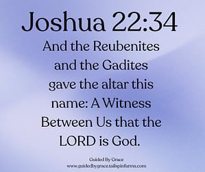 Joshua 2234