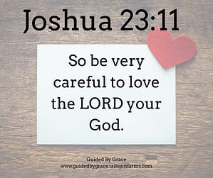 Joshua 2311
