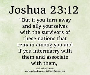 Joshua 2312