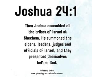 Joshua 241