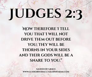 Judes 23 (1)