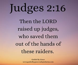 Judges 216