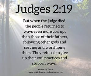 Judges 219