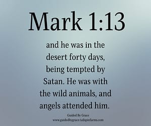 Mark 113
