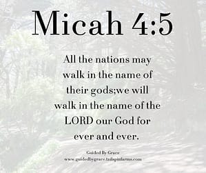 Micah 45