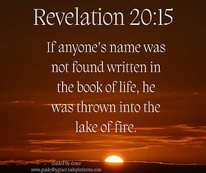 Revelation 2015