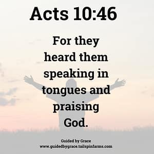 Acts 1046