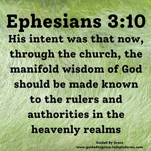 Ephesians-310