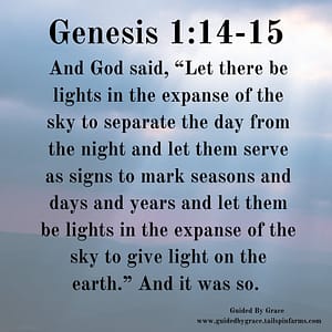 Genesis 114-15