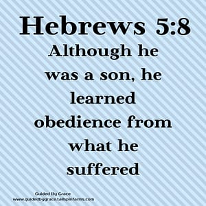 Hebrews-58