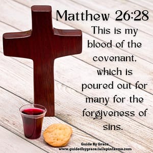Matthew-2628