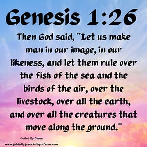 Genesis-126