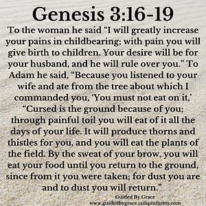 Genesis 316-19