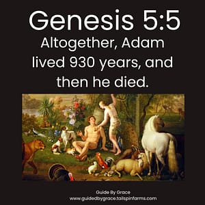 Genesis 55