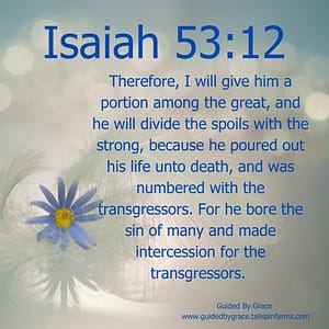 Isaiah 5312