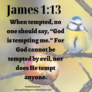 James-113