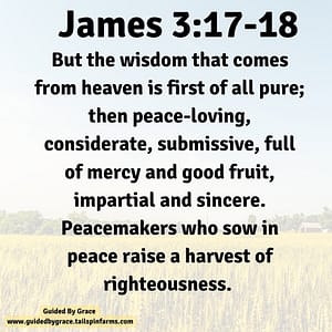James 317-18