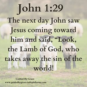 John 129