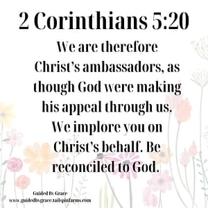 2 Corinthians 520