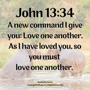John 1334