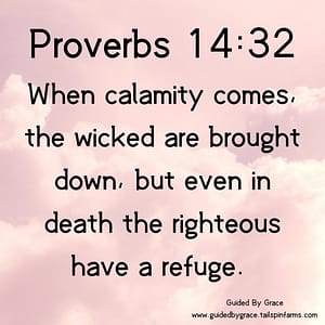 Proverbs 1432