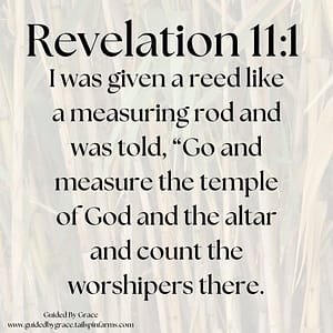 Revelation 111