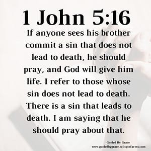 1 John 516