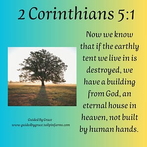 2 Corinthians 51